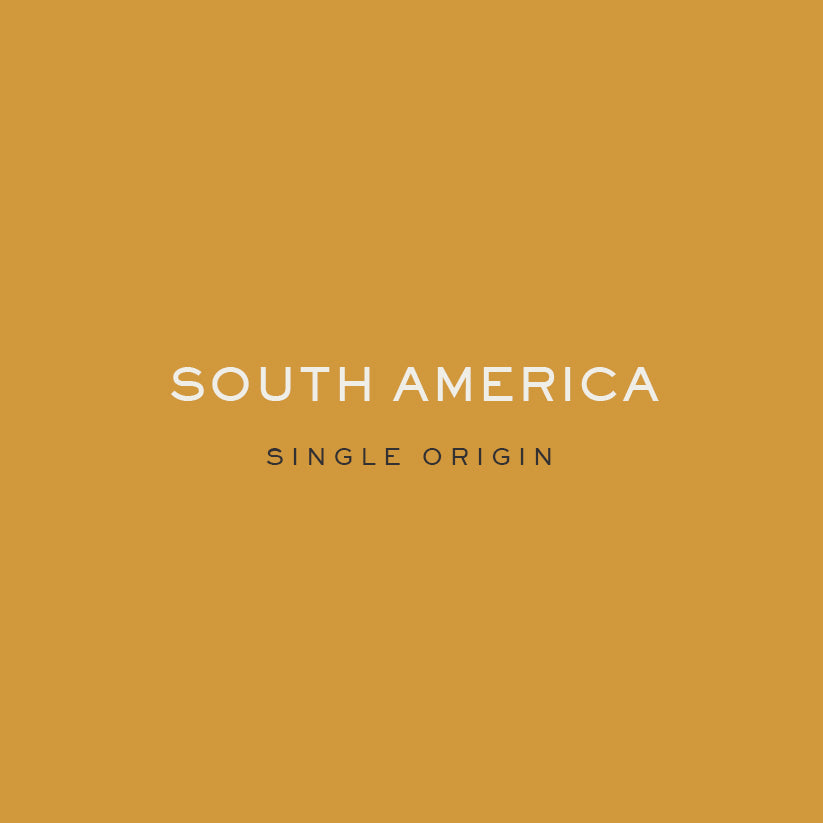 SOUTH AMERICA